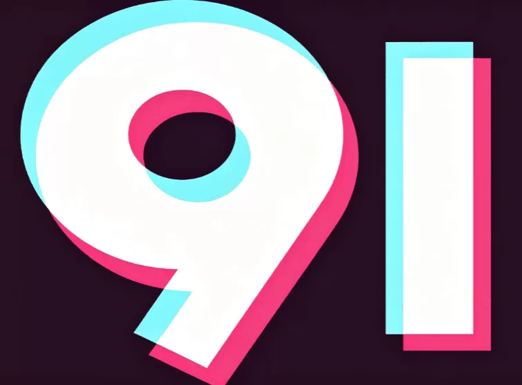 91com logo